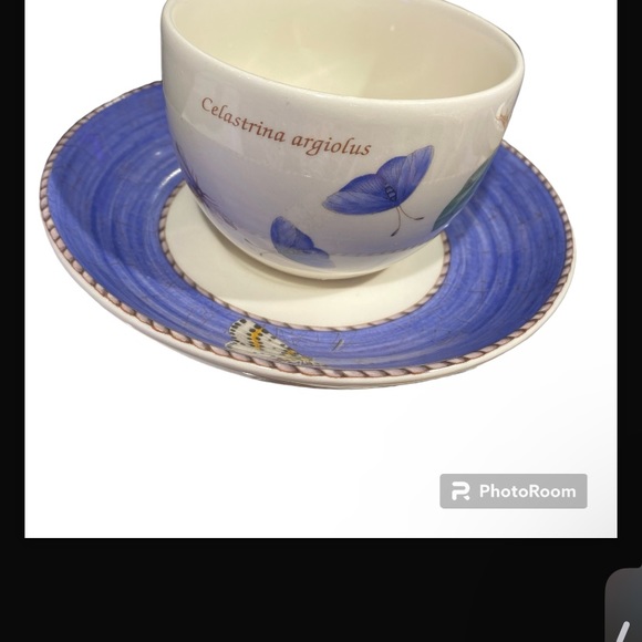 WEDGWOOD ENGLAND QUEEN’S WARE SARAH’S GARDEN coffee, teacup, and saucer set -1 - Picture 1 of 8